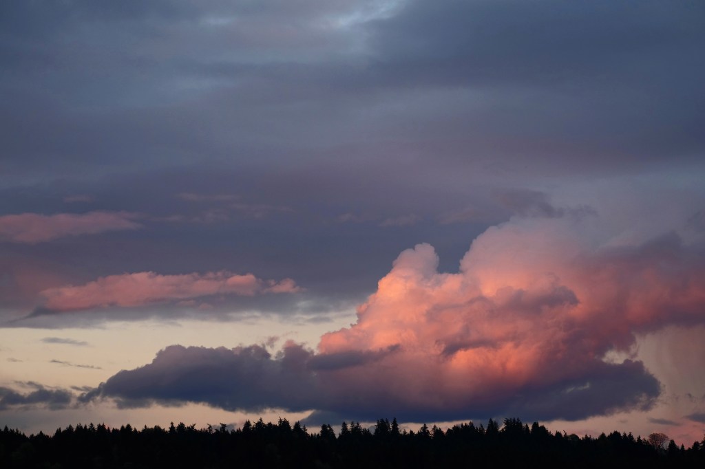 Gas Works Park on a&nbsp;Tuesday