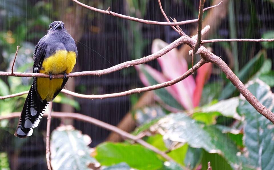 Exploring Seattle: The&nbsp;Zoo