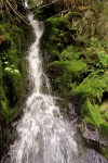 waterfall moss washington biking cycling iron horse trail pacific northwest photography