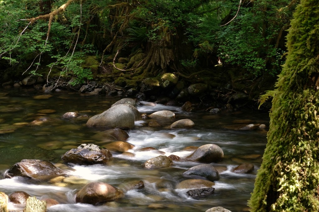 2 Cameras, 1 Tripod, 400 lbs: Wallace&nbsp;Falls