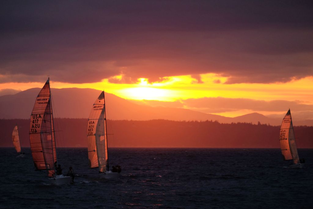 An Evening in Golden Gardens