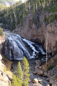 yellowstone24