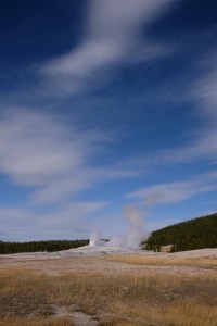 yellowstone42