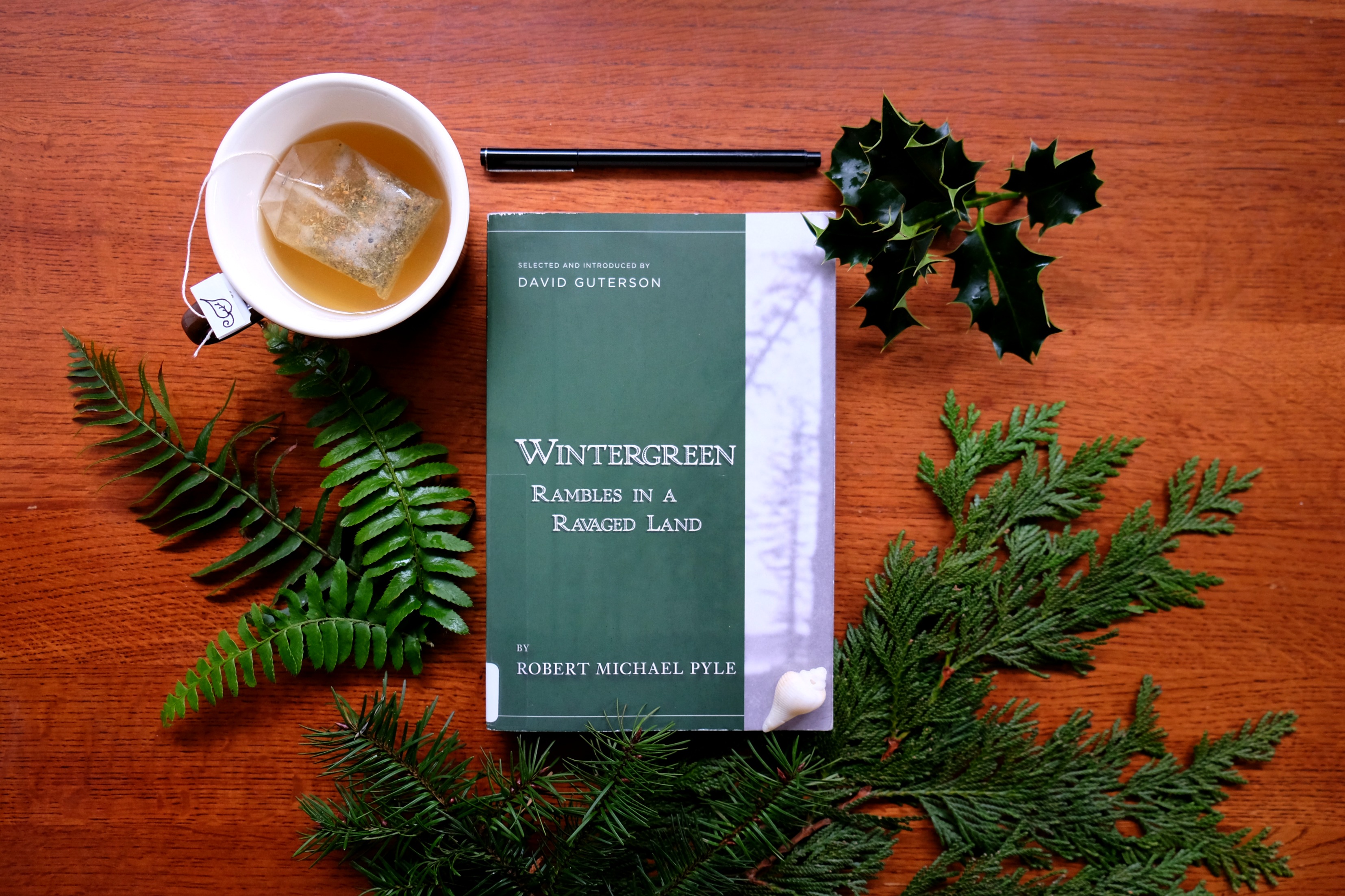 book5_wintergreen
