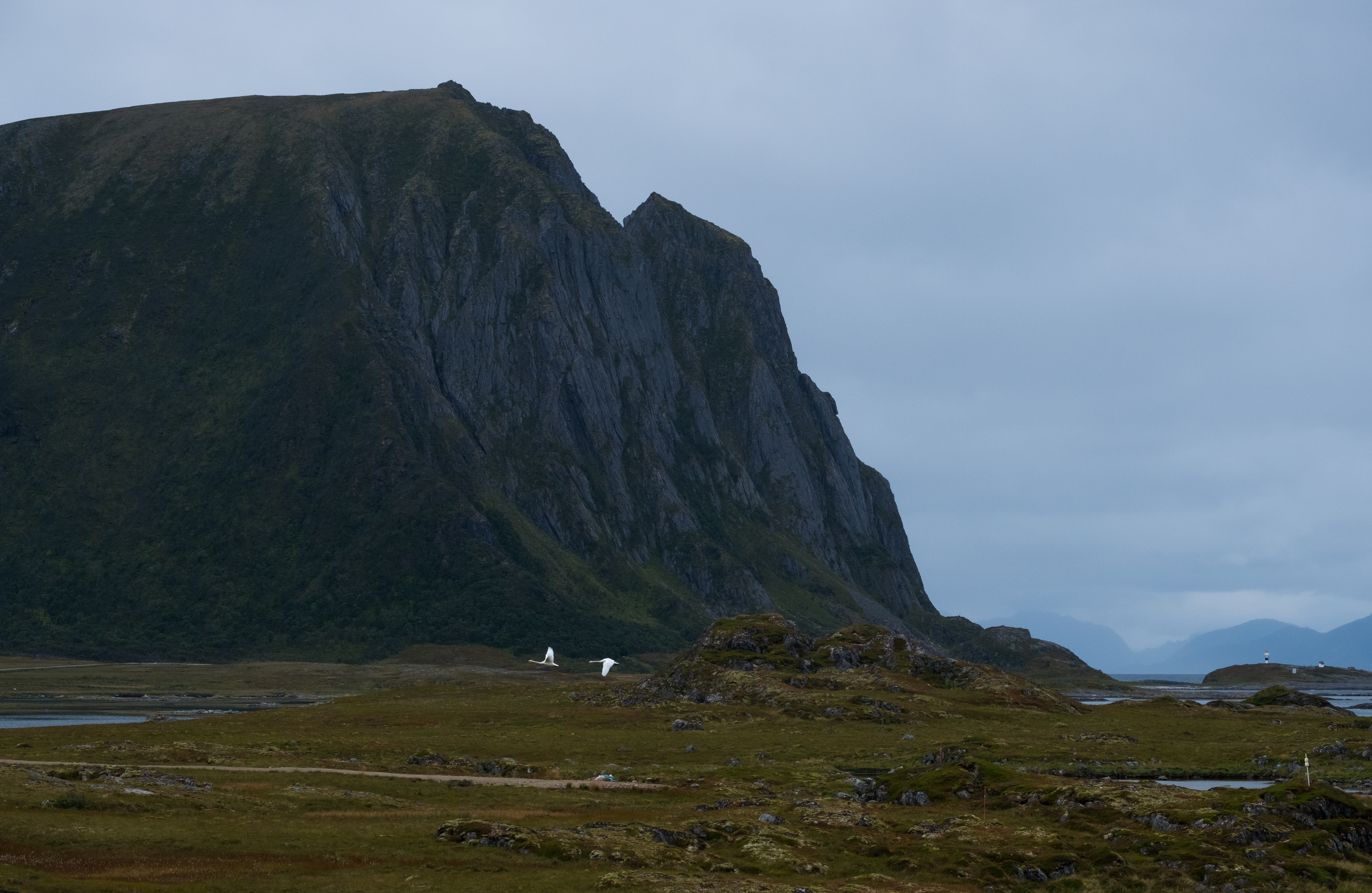 lofoten2