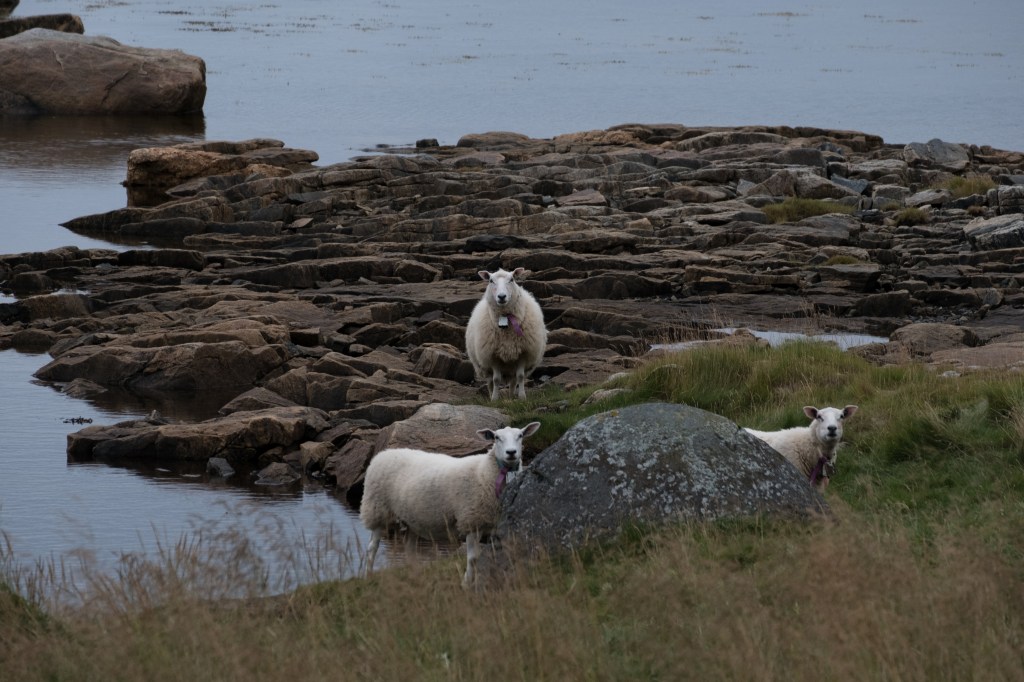 All Hands on&nbsp;Dekk