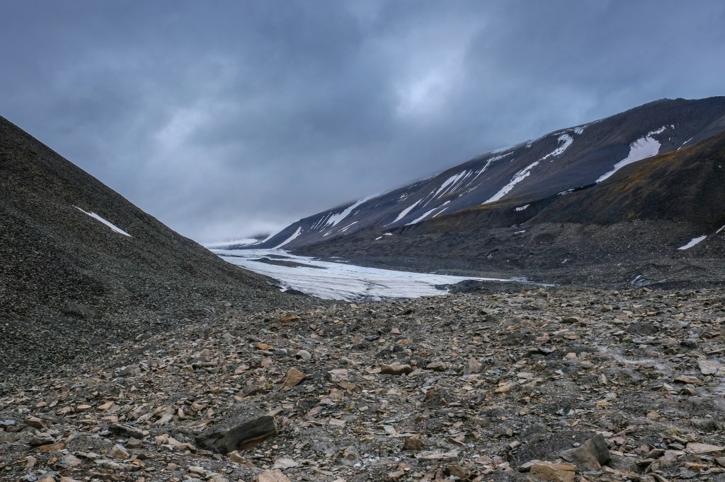 Arctic Fossil-hunting