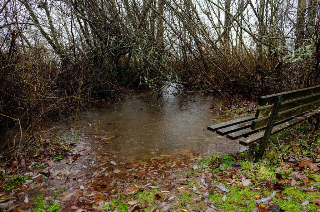 Creek: A Love Story (aka Back to the&nbsp;Beginning)