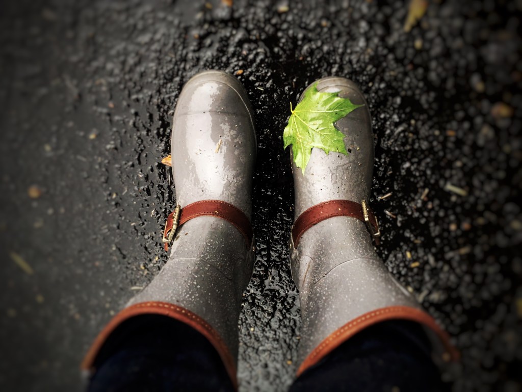 Water, Water Everywhere